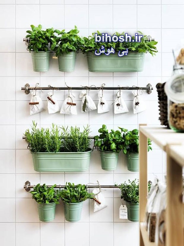پرورش گیاه در آشپزخانه و داشتن آشپزخانه سبز با گل و گیاه طبیعی