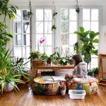 19 گیاه آپارتمانی سمی را بشناسید
