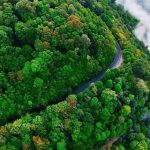 جاذبه های گردشگری گیلان