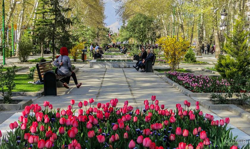 ژست های خلاقانه عکاسی در طبیعت بهاری